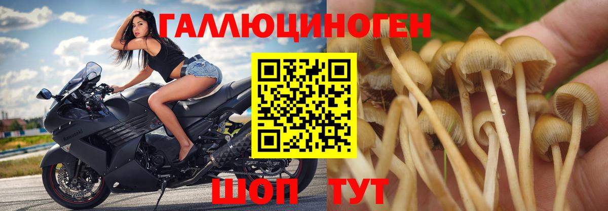 Псилоцибиновые грибы Magic Shrooms  Вход с VPN  Мыски 
